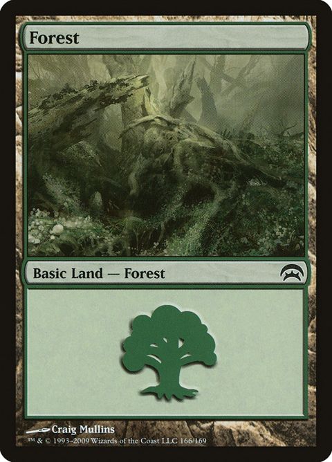 166-forest.jpg