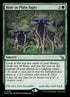 166p-hideinplainsight.jpg