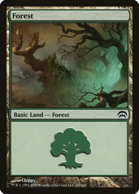 167-forest.jpg