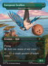 1675-birdsofparadisebirdsofparadise-b