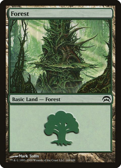 169-forest.jpg