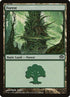 169-forest.jpg