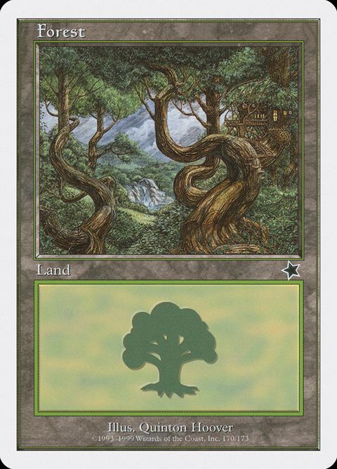 170-forest.jpg