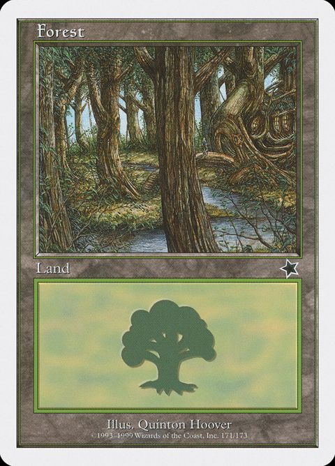 171-forest.jpg