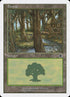 171-forest.jpg