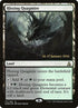 171s-hissingquagmire.jpg