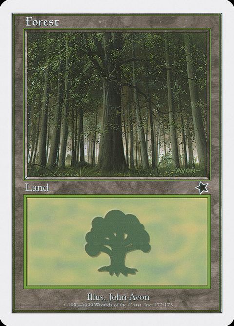 172-forest.jpg