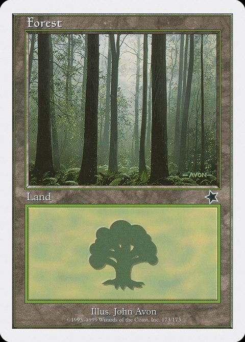 173-forest.jpg