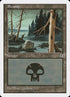 173-swamp.jpg