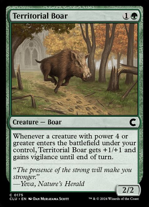 175-territorialboar.jpg