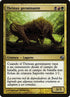 176-sproutingthrinax.jpg