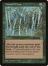 177-naturescloak.jpg