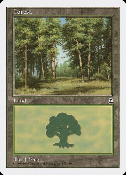 179-forest.jpg