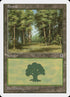 179-forest.jpg
