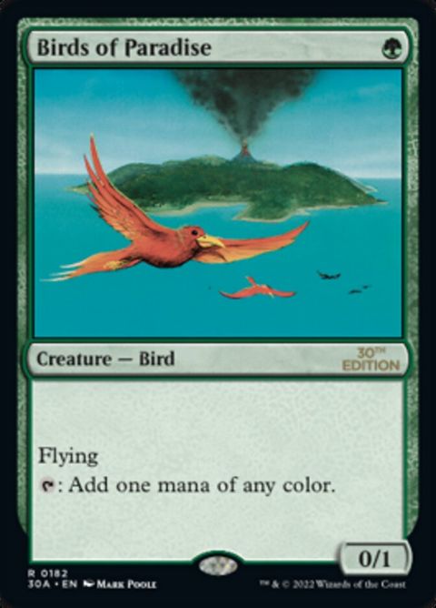 182-birdsofparadise.jpg
