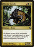 182-woollythoctar.jpg