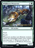 182s-wildbornpreserver.jpg