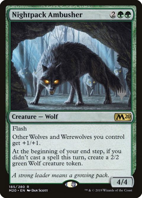 185p-nightpackambusher