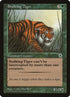 186-stalkingtiger.jpg