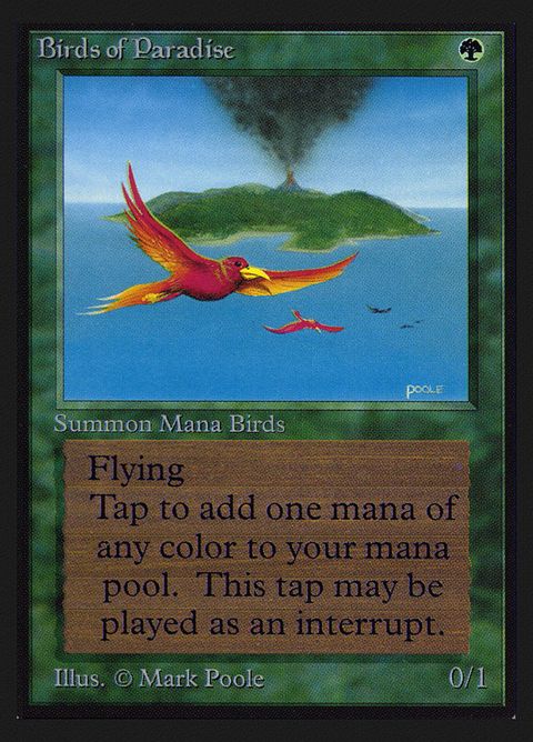 187-birdsofparadise.jpg