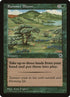 187-summerbloom.jpg