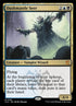 188-duskmantleseer.jpg