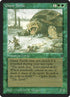 188-giantturtle.jpg