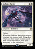 18p-jackdawsavior