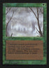 194-fog.jpg