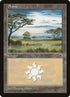 197-plains.jpg