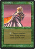 199-radjanspirit.jpg