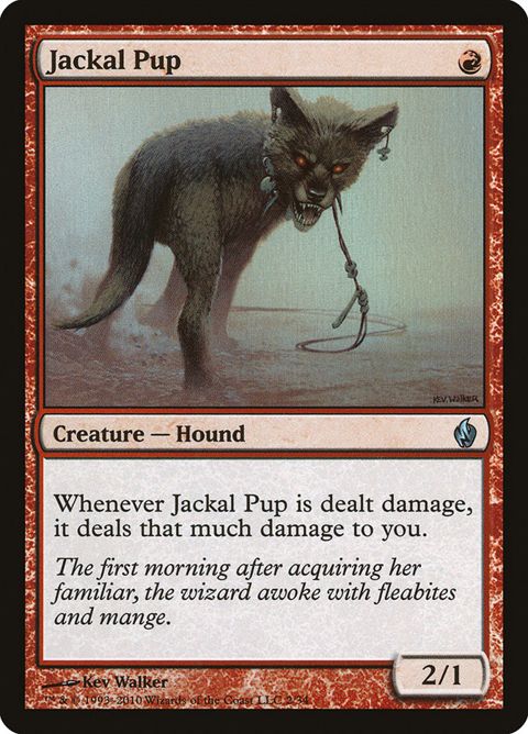 2-jackalpup.jpg