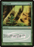 2-regrowth.jpg