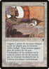 20-spiritlink.jpg
