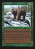 200-grizzlybears.jpg
