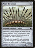 201-wallofspears.jpg