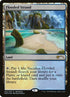 2018-floodedstrand.jpg