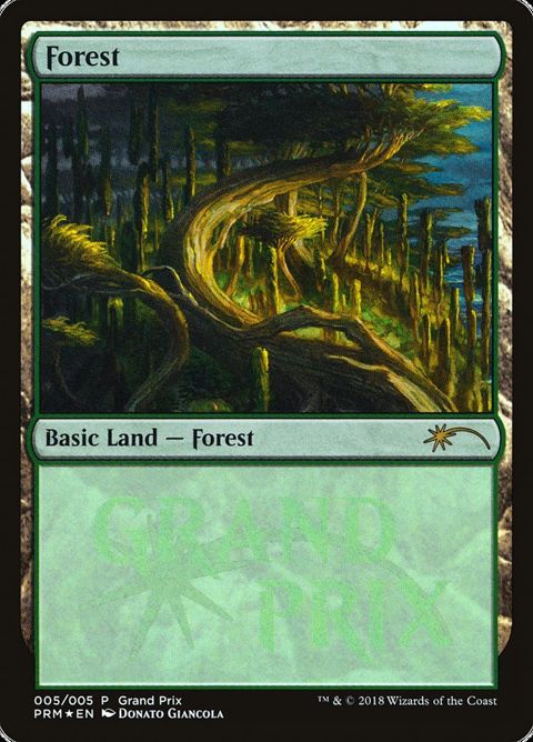 2018f-forest.jpg