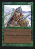 202-icestorm.jpg