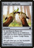 202-wandererstwig.jpg