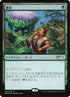 2022-2-wildgrowth