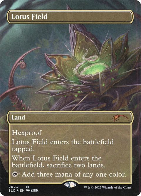 2023-lotusfield.jpg