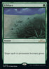 203-lifelace.jpg