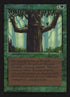 204-ironroottreefolk.jpg