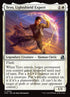 204-teyolightshieldexpert