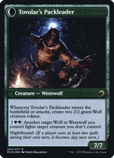204s-tovolarshuntmastertovolarspackleader.jpg