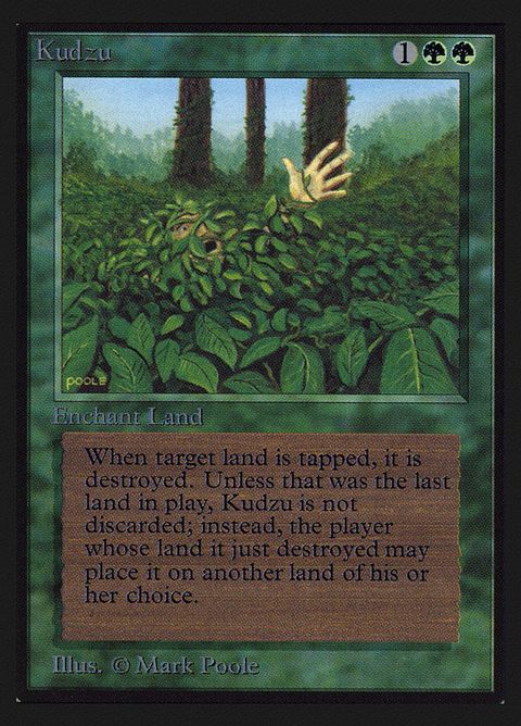 205-kudzu.jpg