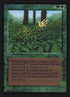 205-kudzu.jpg