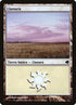 205-plains.jpg