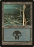 206-swamp.jpg
